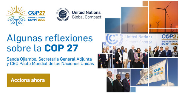 Algunas reflexiones sobre la COP 27